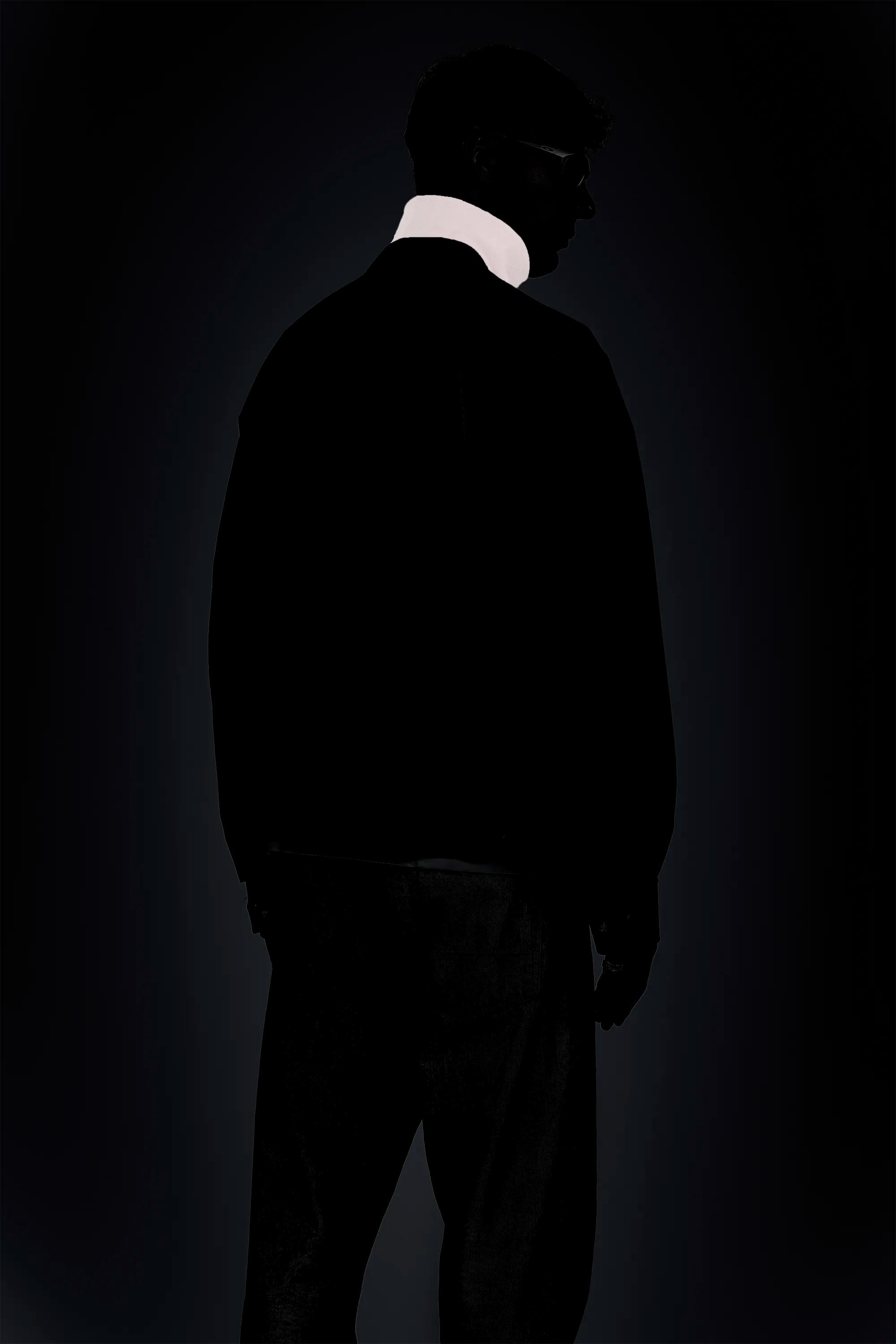 [reflectFLARE]™ collar for increased low-light visiblity // reflecting-2