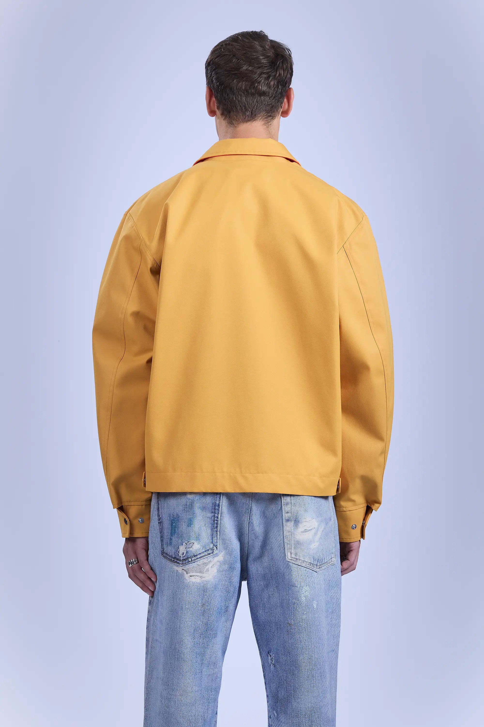 Back view